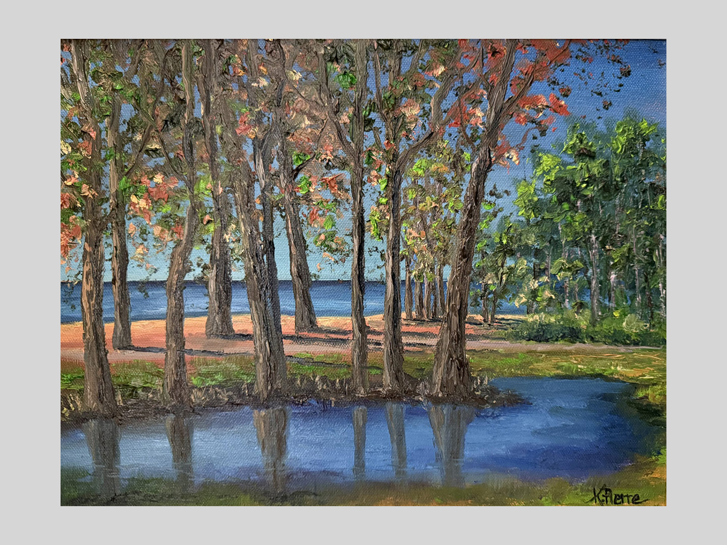 Evening at the Duck Pond