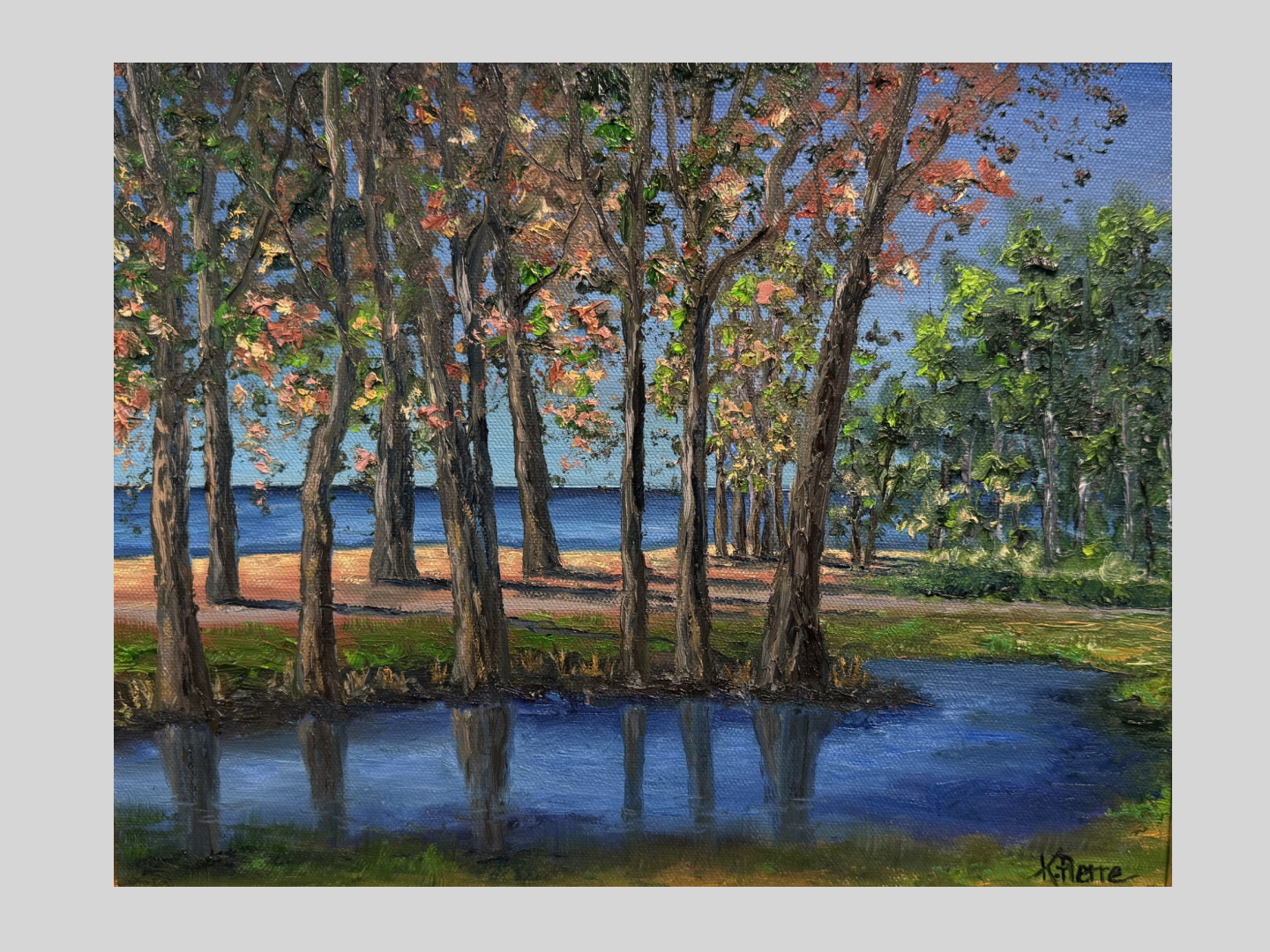 Evening at the Duck Pond