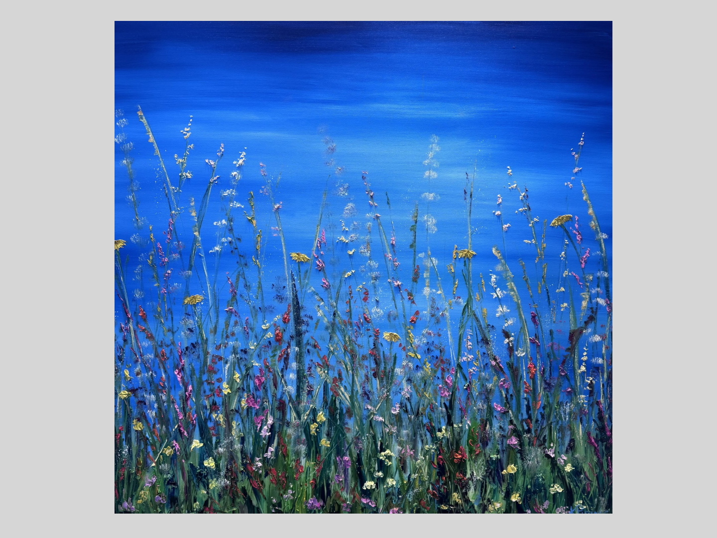 Field of Joy